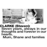 CLARKE Steven
