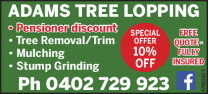 Tree Removal/Trim, Mulching, Stump Grinding